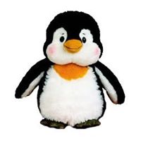 Elizabeth Dowd Photo 13