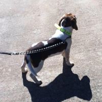 Kelly Mcleod Photo 25