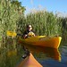 Dianne Green Photo 26