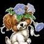 Carol Briggs Photo 36