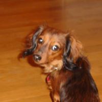 Loretta Rodgers Photo 7