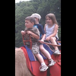 Thomas Holland Photo 37 Thomas Holland Photo 37