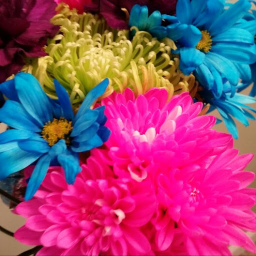 Michelle Vera Photo 16