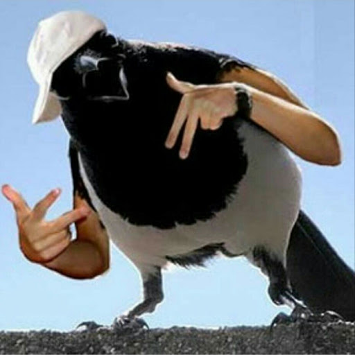 Roger Shepherd Photo 39