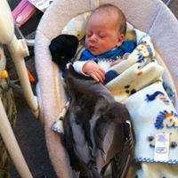 Micheal Archer Photo 8