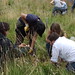 Andrew Mcclelland Photo 35