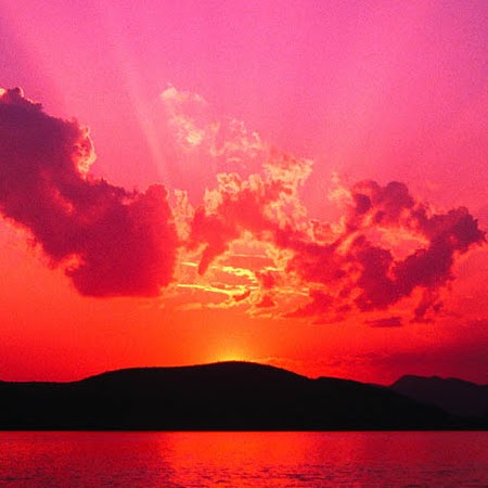 Paula Hopkins Photo 8