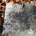 Robert Moorhead Photo 4