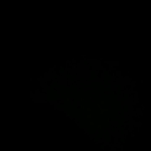 Ramon Ramos Photo 10