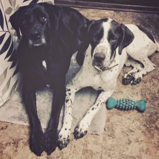 Kristen Bilotta Photo 2