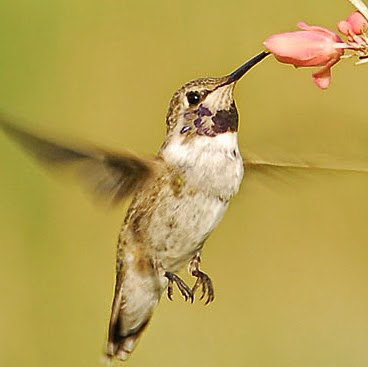 Barbara Franklin Photo 42 Barbara Franklin Photo 42