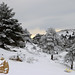 Angel Nieves Photo 21