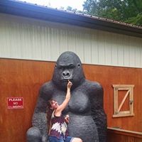 Tabatha Wood Photo 10