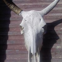 Michael Mcgough Photo 12