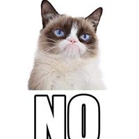 Cheryl Fleming Photo 23