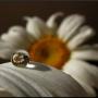 Kathleen Haines Photo 31
