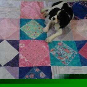 Linda Enright Photo 26