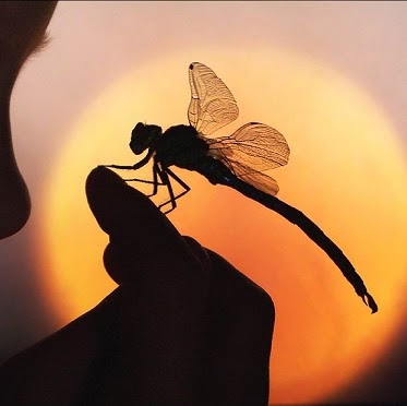 Shelly Devine Photo 9