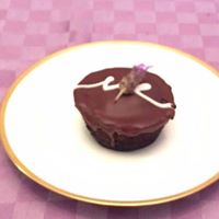 Susan Phifer Photo 5