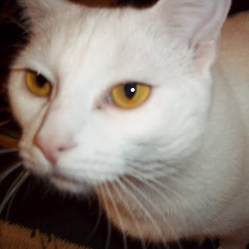 John England Photo 17