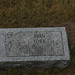 Joan York Photo 14