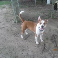 Suzanne Strickland Photo 11