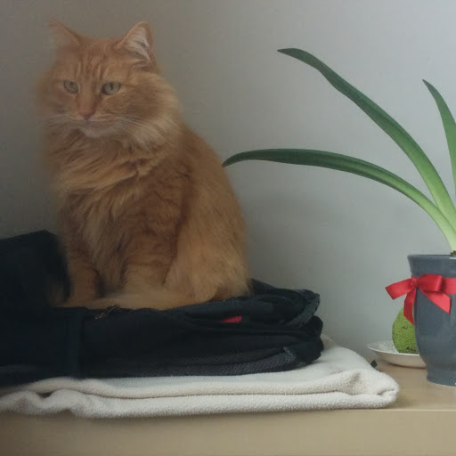 Danny Baldwin Photo 17