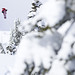 Bryan Fox Photo 21