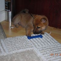 Theresa Midkiff Photo 8