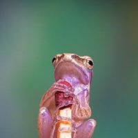 Jeffrey Thompson Photo 23