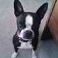 Wilma Brown Photo 1