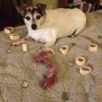 Timothy Holt Photo 19