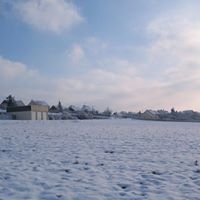 Pamela Roland Photo 9