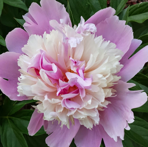 Karen Reed Photo 22 Karen Reed Photo 22