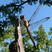 Sherman Sills Photo 8