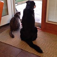 Teresa Wooldridge Photo 4