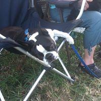 Annie Mccarthy Photo 25