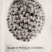 James Brinkerhoff Photo 6