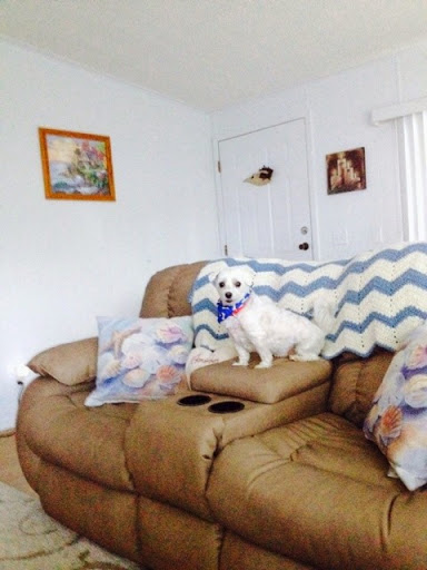 Cheryl Howell Photo 37