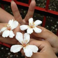 Cathy Wu Photo 23