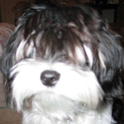 Tom Kendrick Photo 33