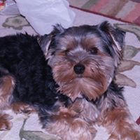 Mary Steward Photo 10