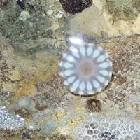 Jennie Hunter Photo 26