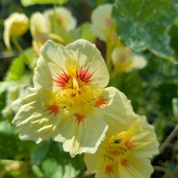 Melanie Hebert Photo 39 Melanie Hebert Photo 39