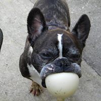 Robin Layman Photo 6