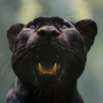 Darrell Womack Photo 12