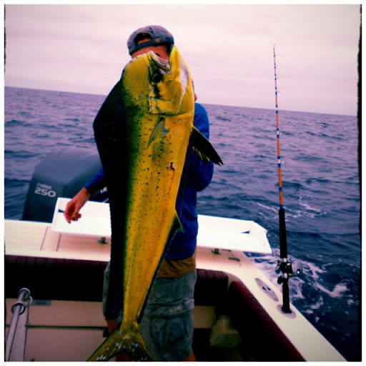 David Broyles Photo 39 David Broyles Photo 39