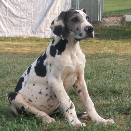 Don Stephens Photo 30