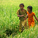 Joy Rice Photo 40