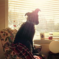 Duncan Clark Photo 6